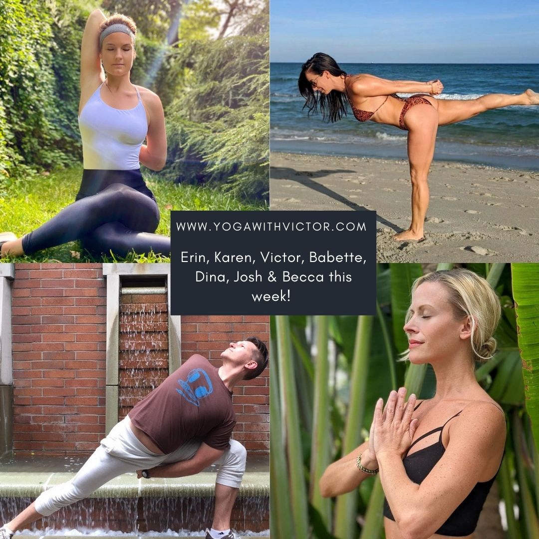 Babette Godefroy Dina Ivas Josh Mathew-Meier Becca Pace Vicyasa™ bodyArt™ Yoga Pilates Power Flow Meditation Zoom.us mind body wellness